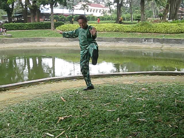 Taijiquan Cloud Hands